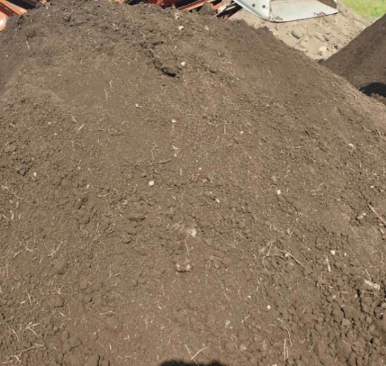 Грунт не сеяный